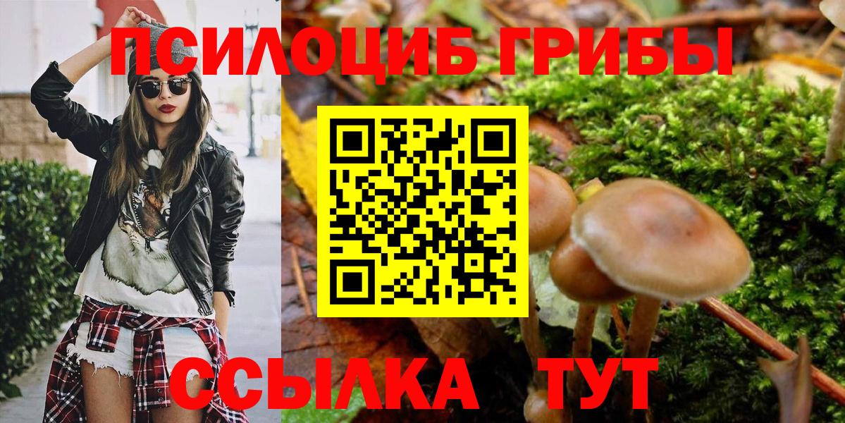 Галлюциногенные грибы прущие грибы Борзя