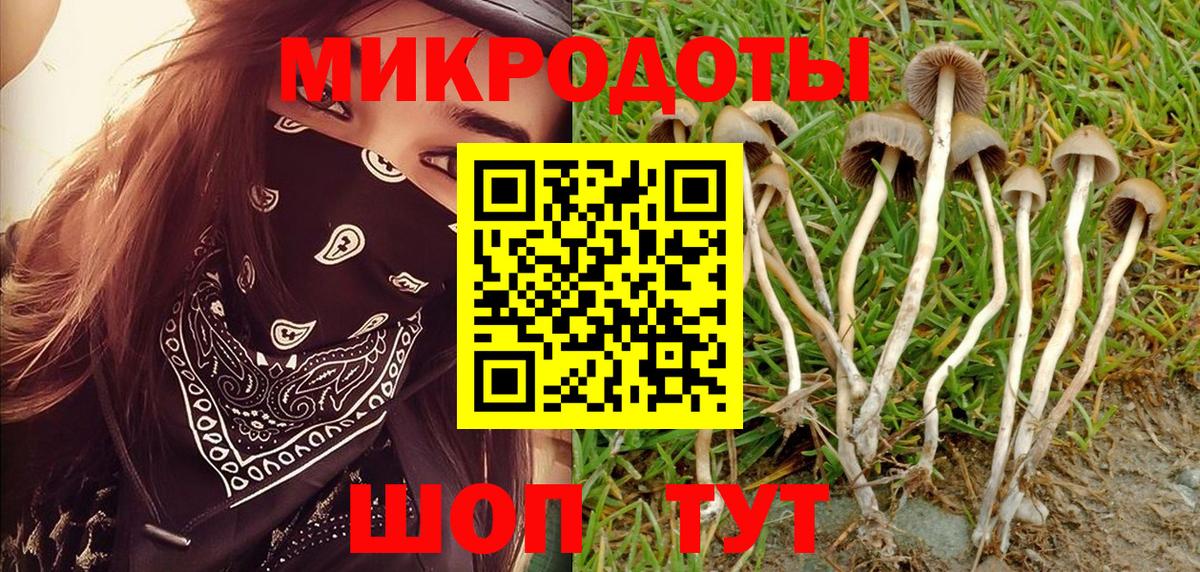 Борзя  Галлюциногенные грибы Psilocybe  Вход с VPN 
