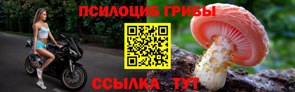 Псилоцибиновые грибы мухоморы Борзя