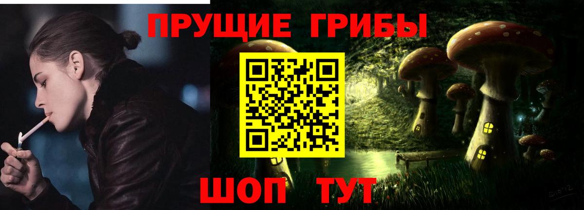 Галлюциногенные грибы Psilocybe  цены наркотик  Борзя 