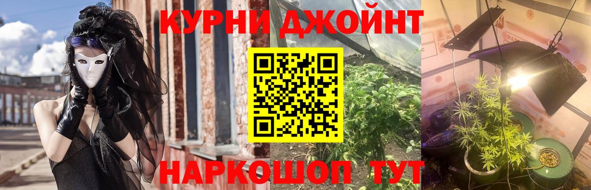 Конопля план Борзя