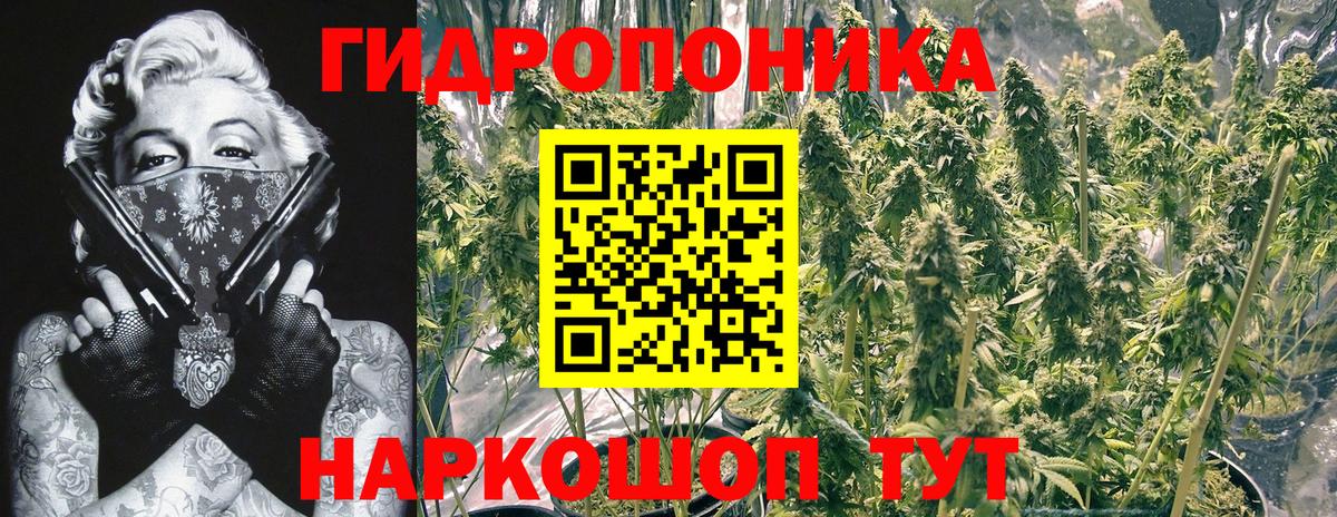 Бошки марихуана Amnesia  Канабис планчик  Вход с VPN  МАРИХУАНА SATIVA & INDICA  Борзя 